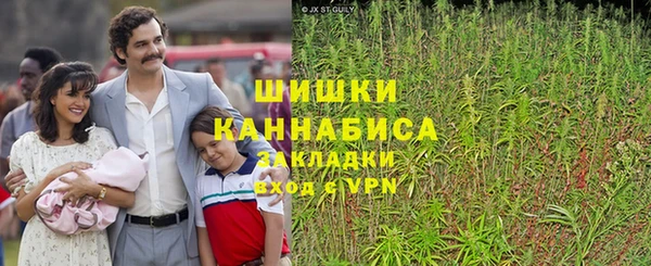 твердый Нягань